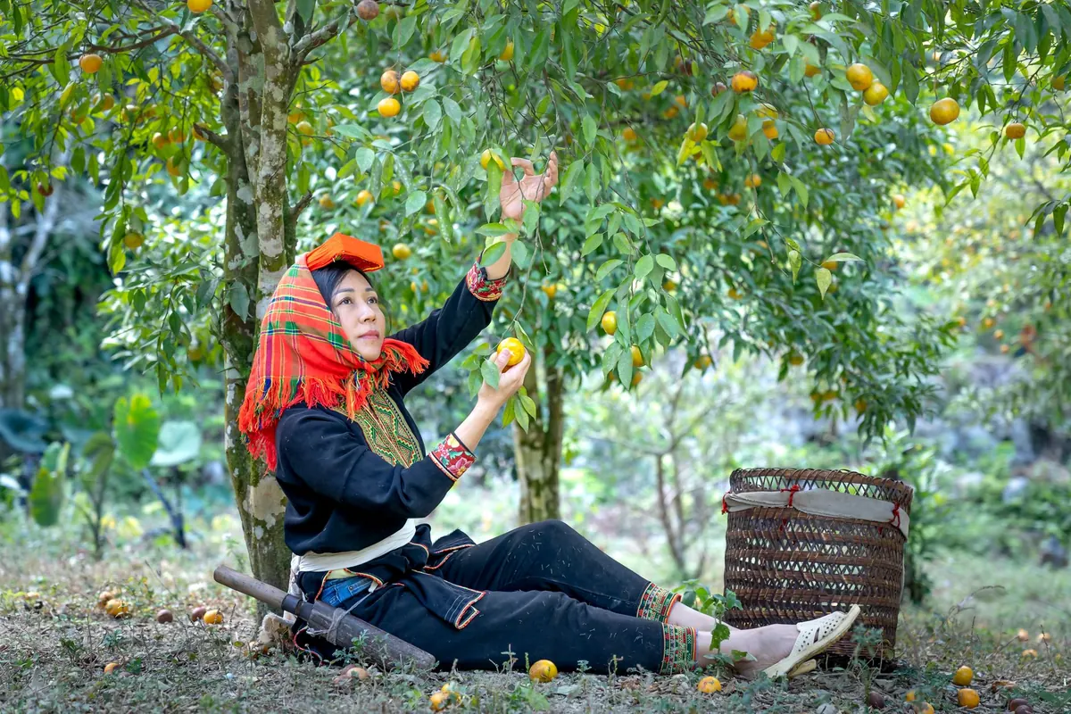 Seasonal UK Fruit Harvest Calendar: What's Ripe Each Month